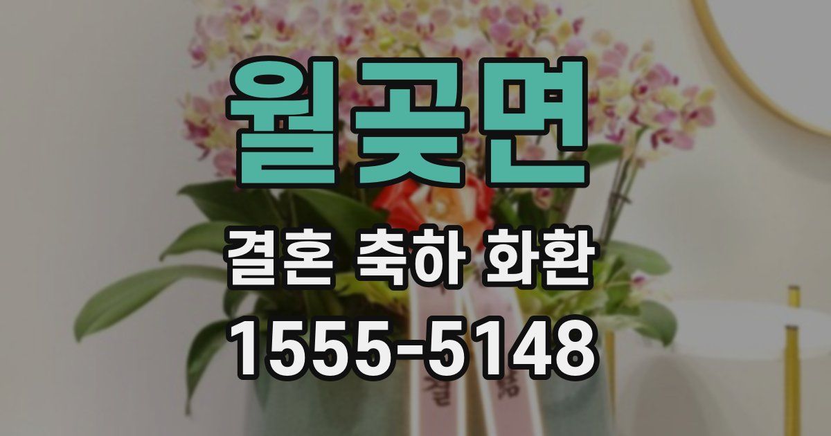 월곶면 결혼 축하 화환
