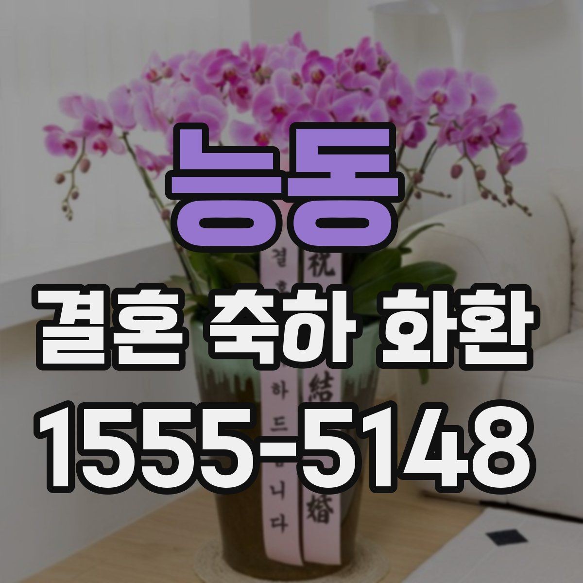 능동 결혼 축하 화환 지역 특성에 따라 달라지는 점