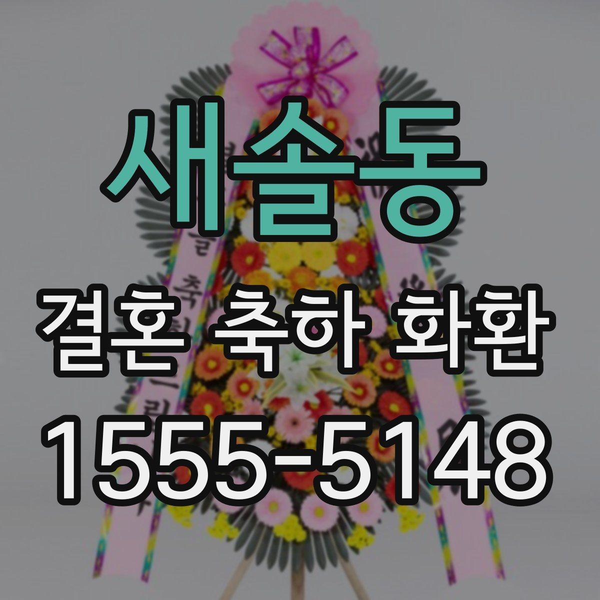 새솔동 결혼 축하 화환 예산과 만족도를 함께 보는 법
