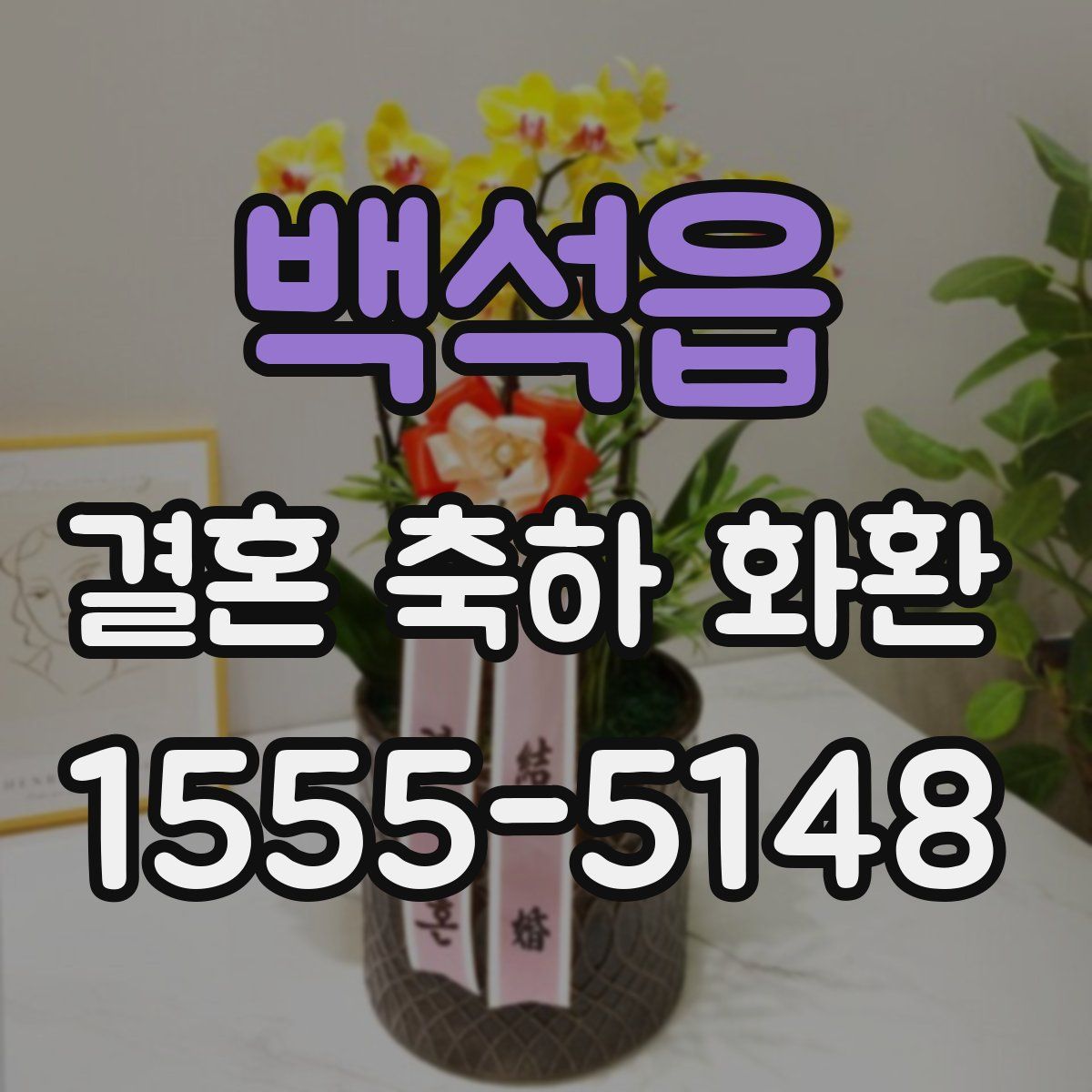 백석읍 결혼 축하 화환