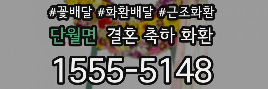 단월면 결혼 축하 화환