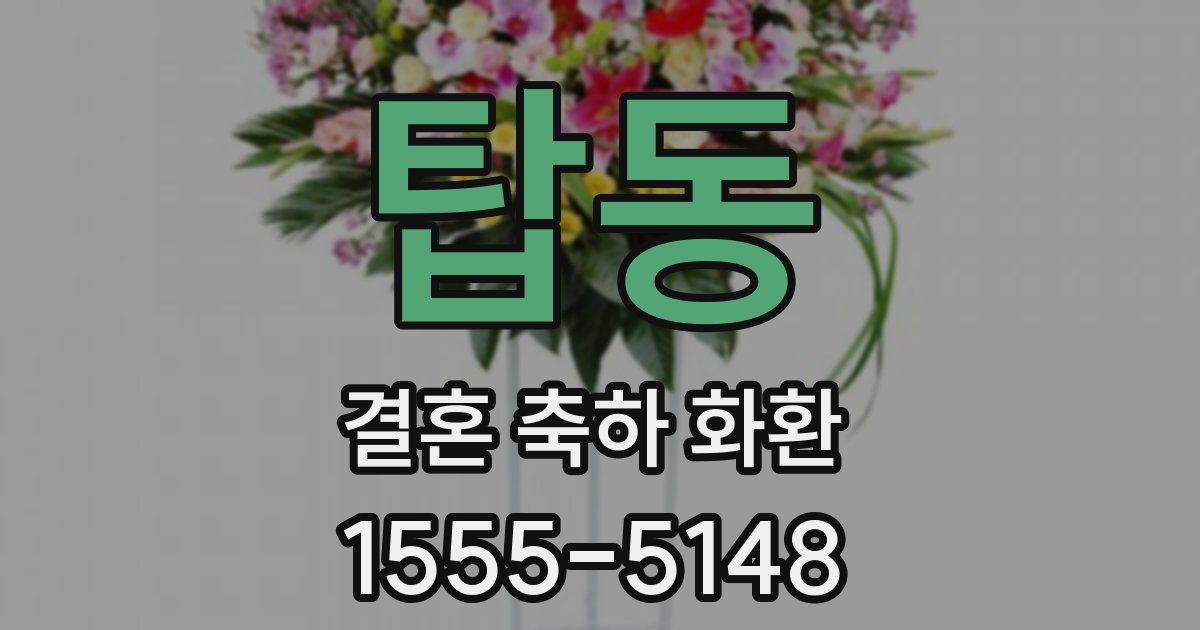 탑동 결혼 축하 화환
