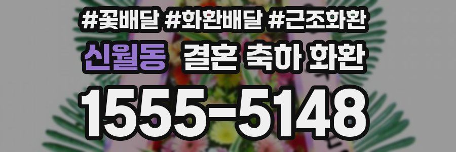 신월동 결혼 축하 화환