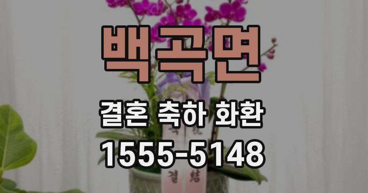 백곡면 결혼 축하 화환