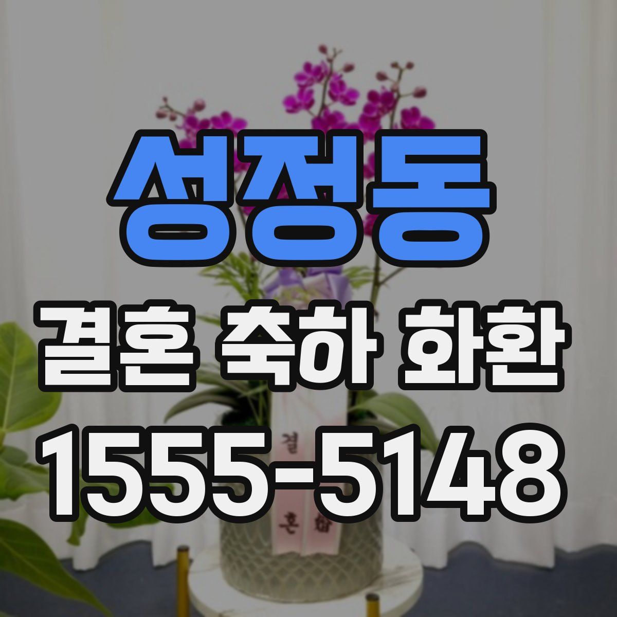 성정동 결혼 축하 화환