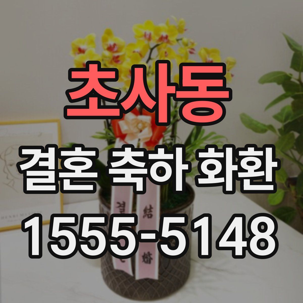 초사동 결혼 축하 화환
