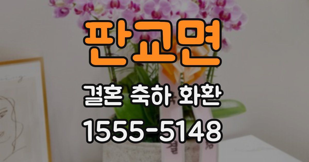 판교면 결혼 축하 화환