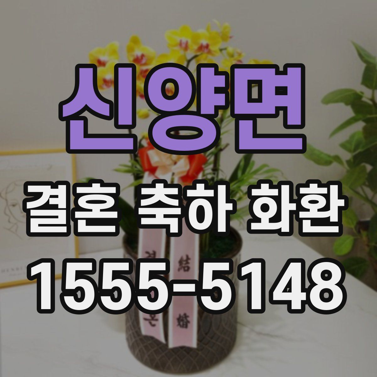 신양면 결혼 축하 화환