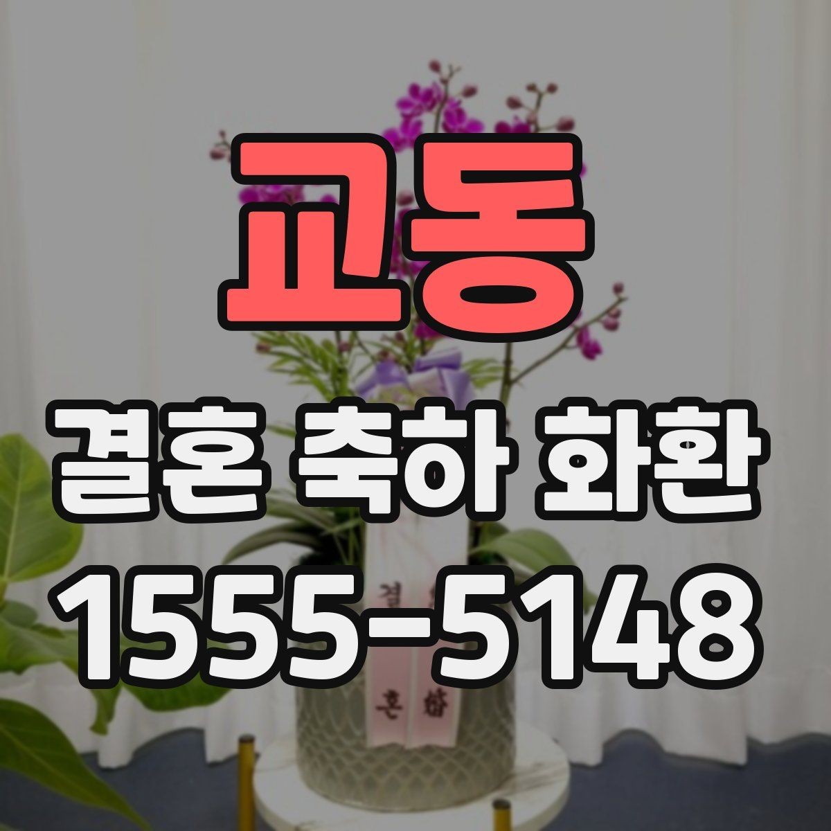 교동 결혼 축하 화환 계절에 따라 달라지는 선택