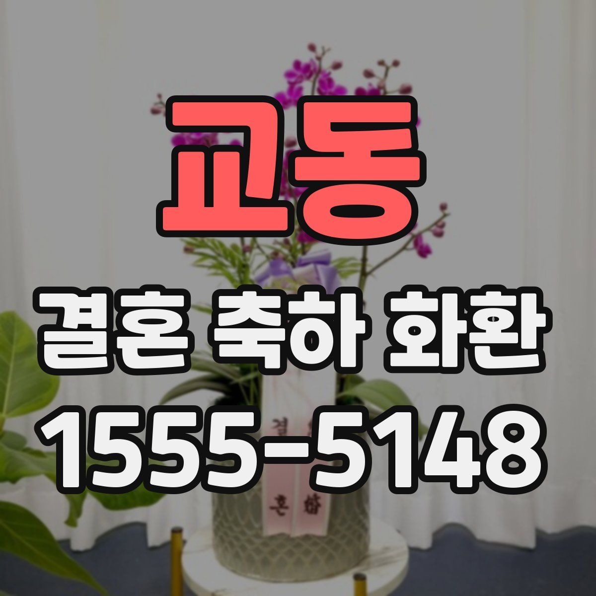 교동 결혼 축하 화환
