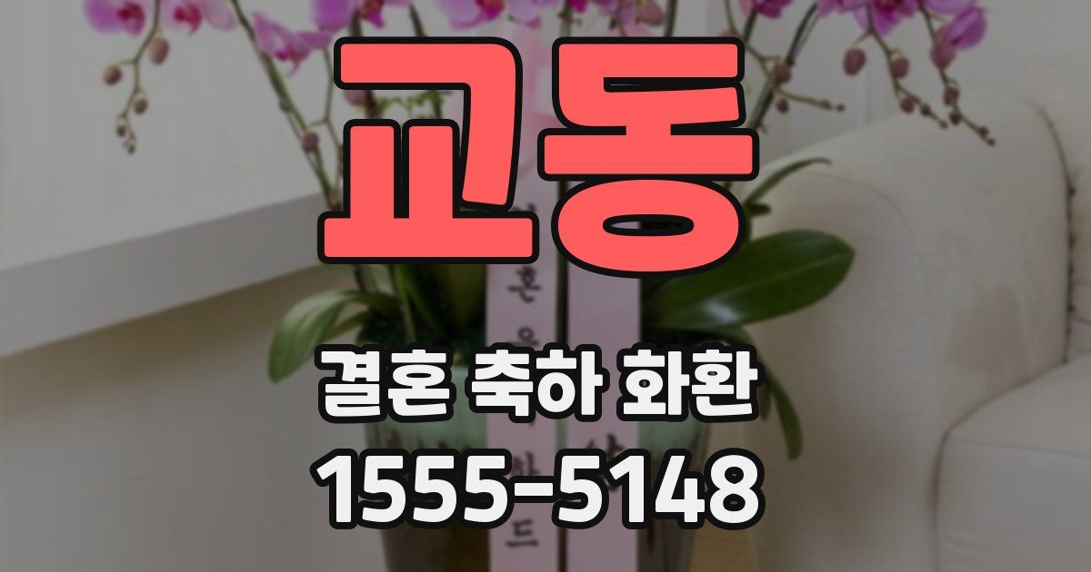 교동 결혼 축하 화환