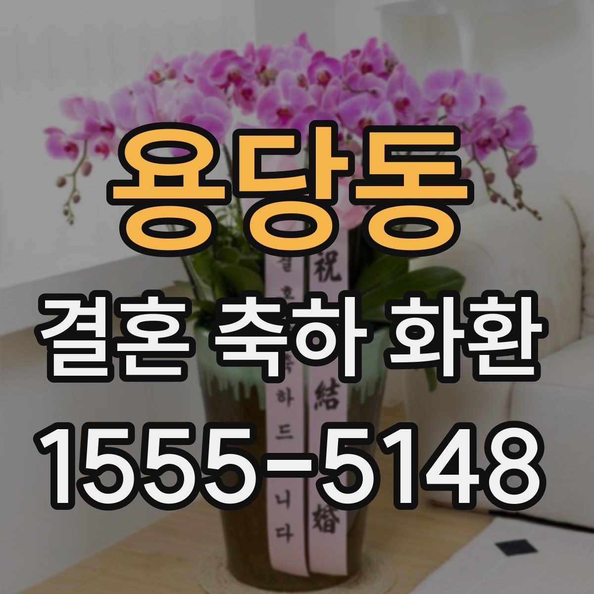 용당동 결혼 축하 화환 길이와 크기 기준 살펴보기
