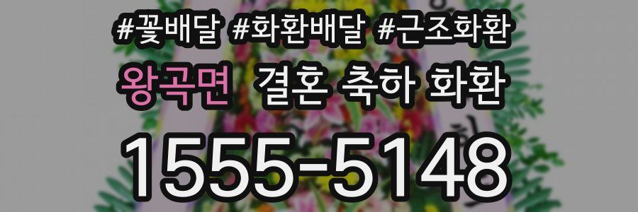왕곡면 결혼 축하 화환