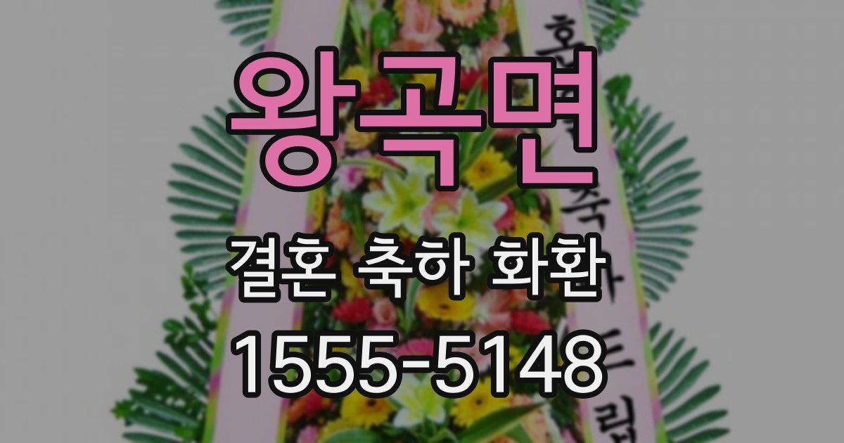 왕곡면 결혼 축하 화환