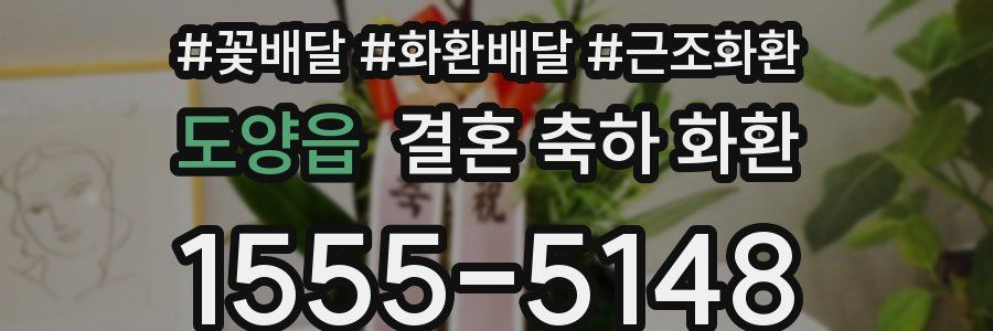 도양읍 결혼 축하 화환