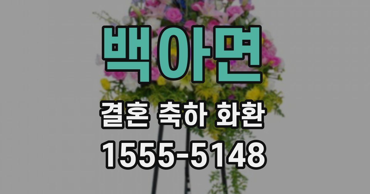 백아면 결혼 축하 화환