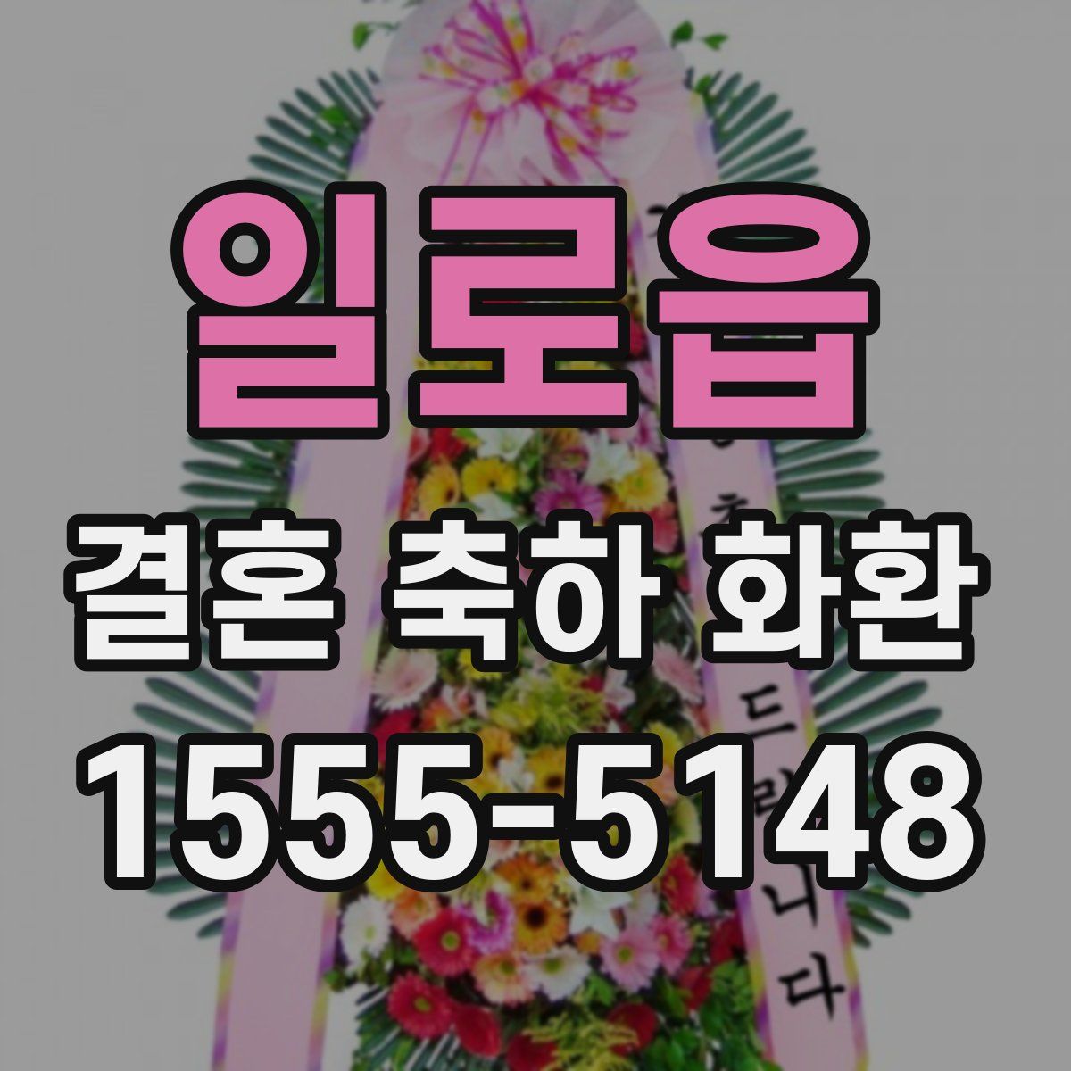 일로읍 결혼 축하 화환