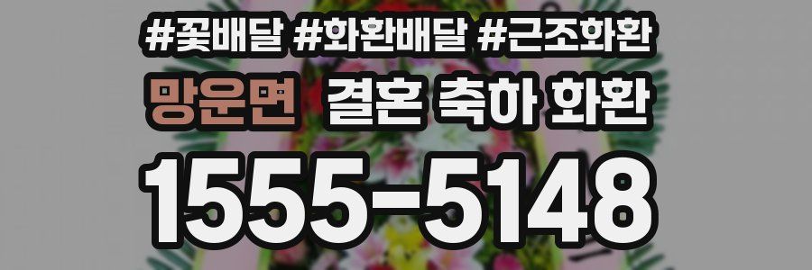 망운면 결혼 축하 화환
