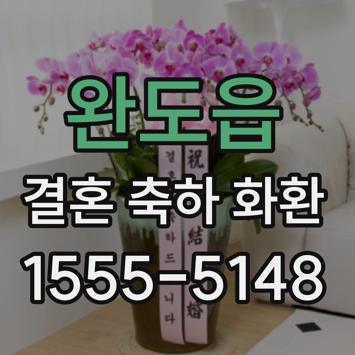 완도읍 결혼 축하 화환