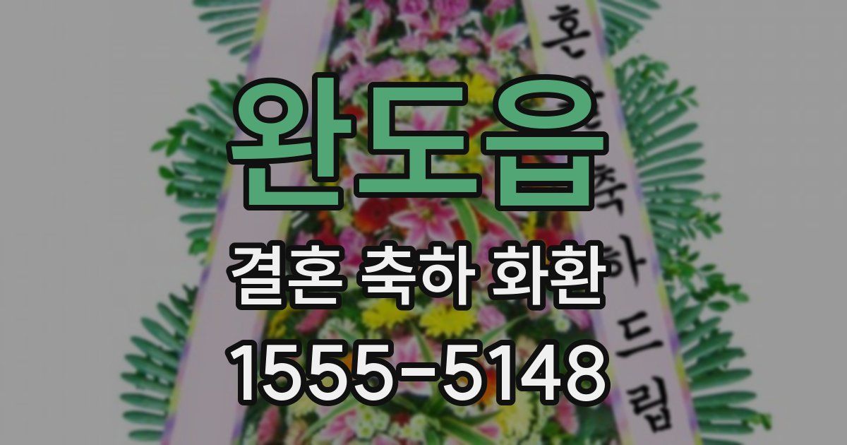 완도읍 결혼 축하 화환