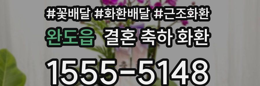 완도읍 결혼 축하 화환
