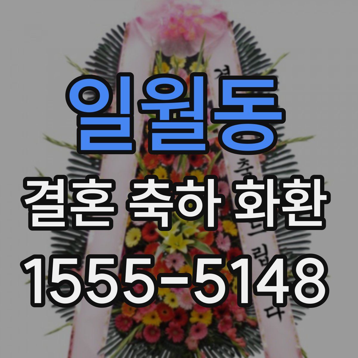 일월동 결혼 축하 화환