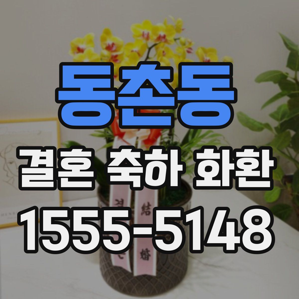 동촌동 결혼 축하 화환