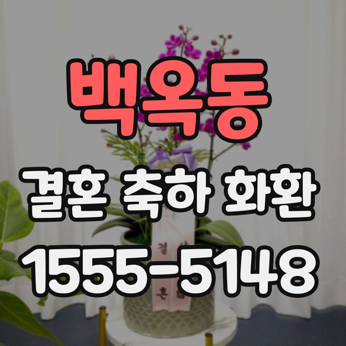 백옥동 결혼 축하 화환 지역 행사장에서 많이 찾는 유형