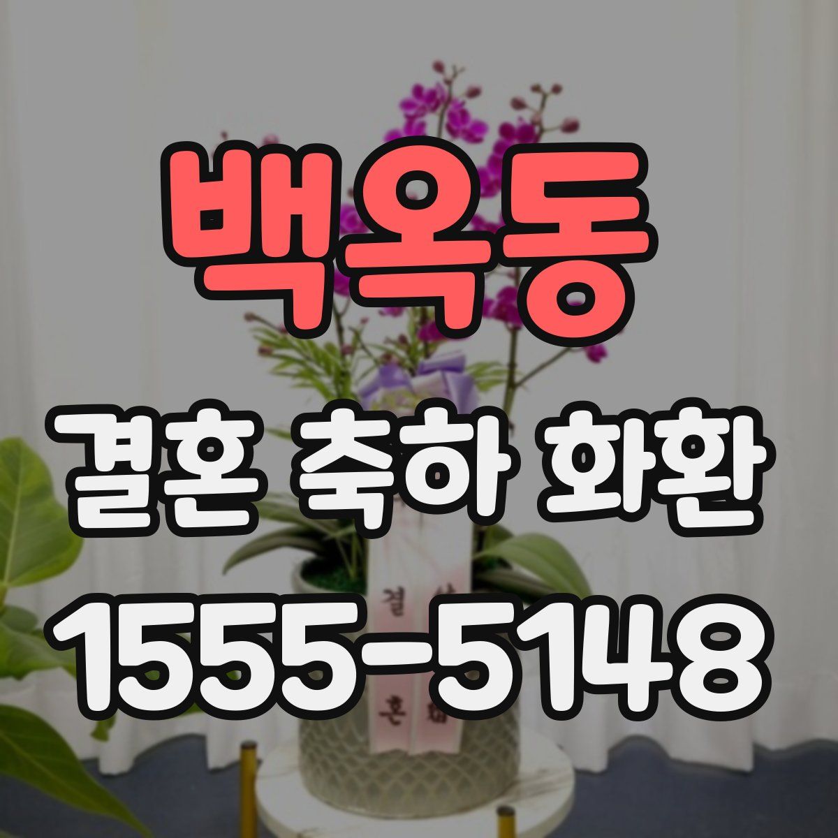 백옥동 결혼 축하 화환