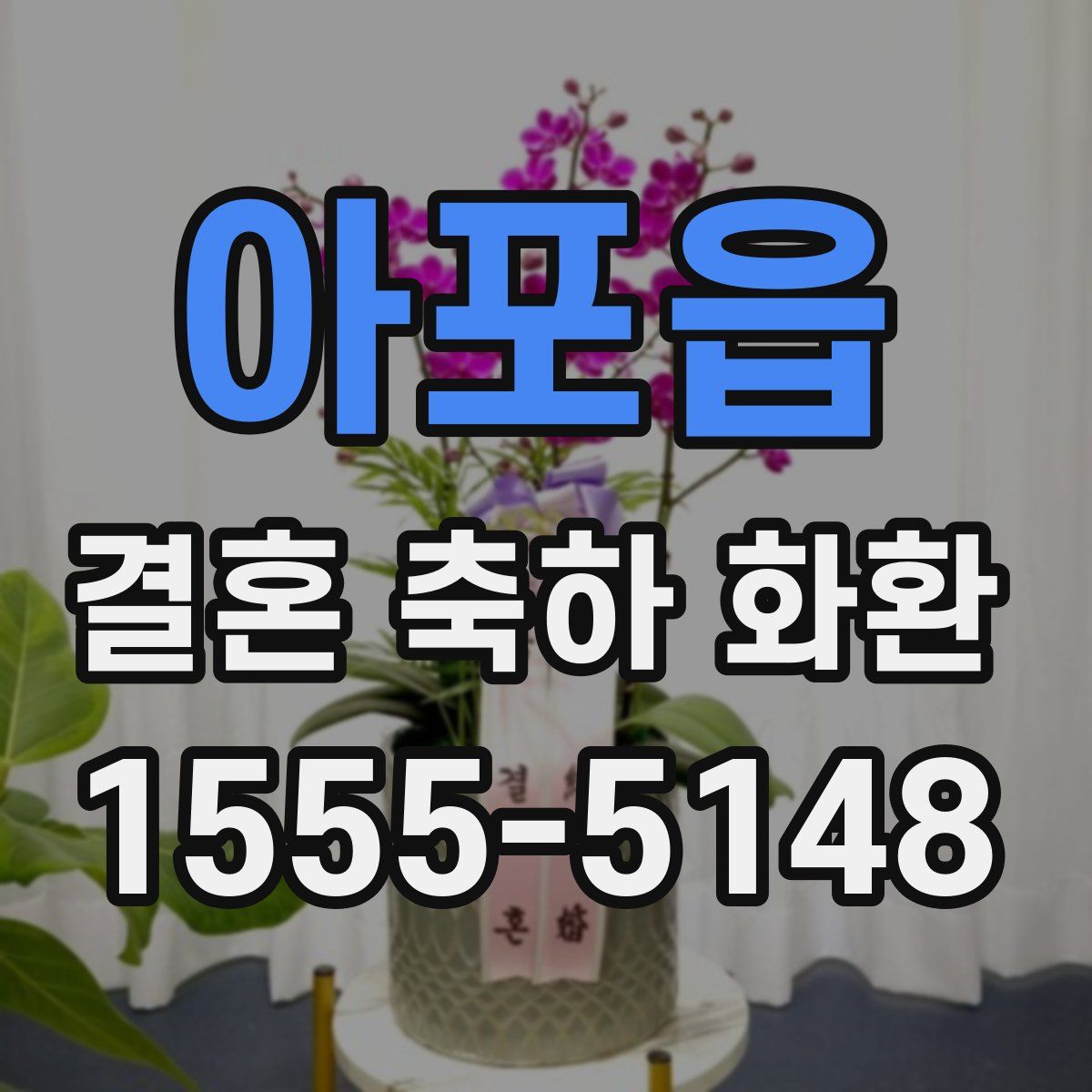 아포읍 결혼 축하 화환