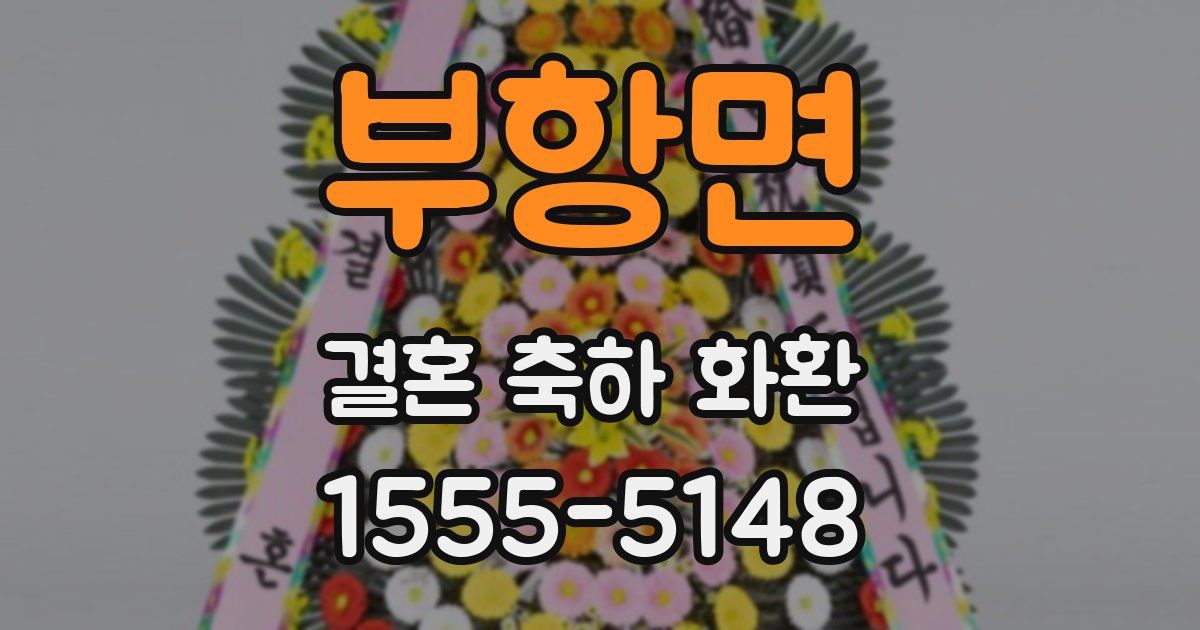 부항면 결혼 축하 화환