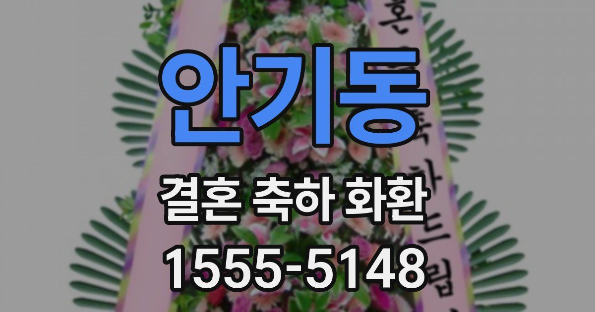 안기동 결혼 축하 화환