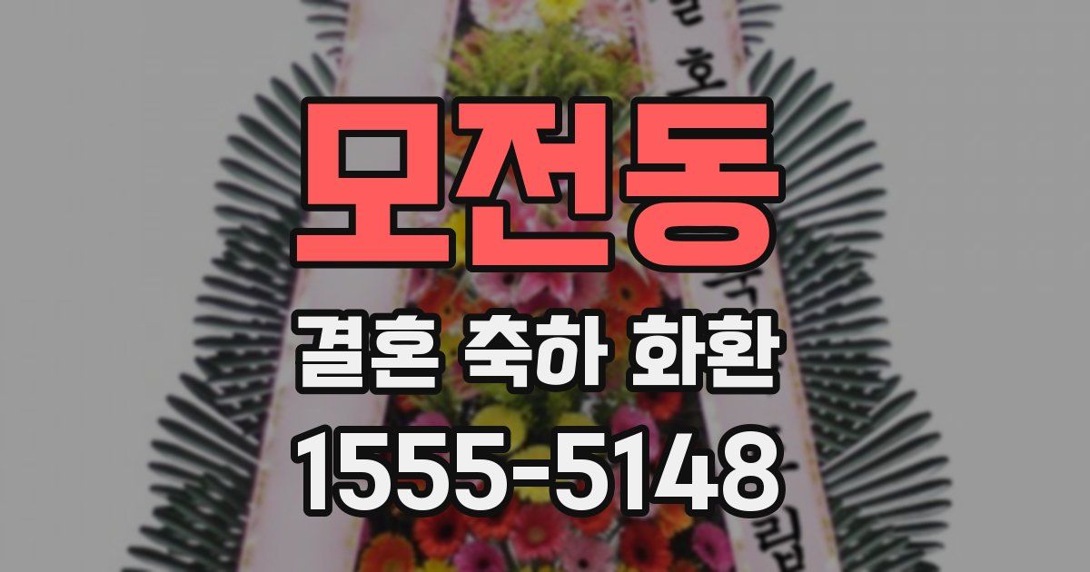 모전동 결혼 축하 화환
