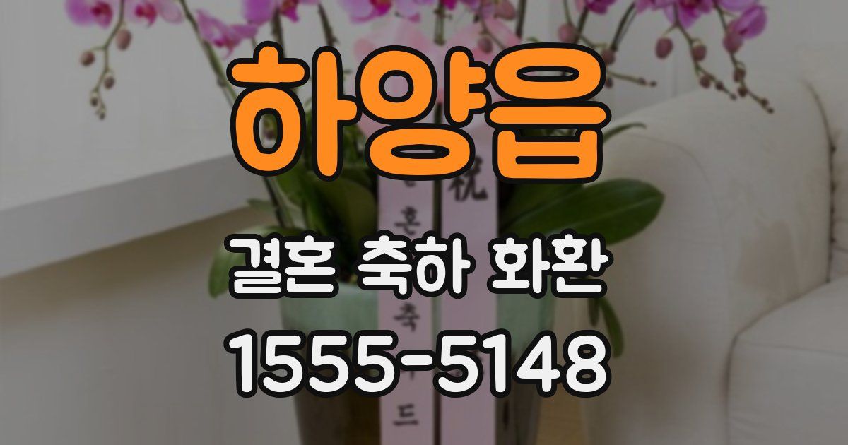 하양읍 결혼 축하 화환