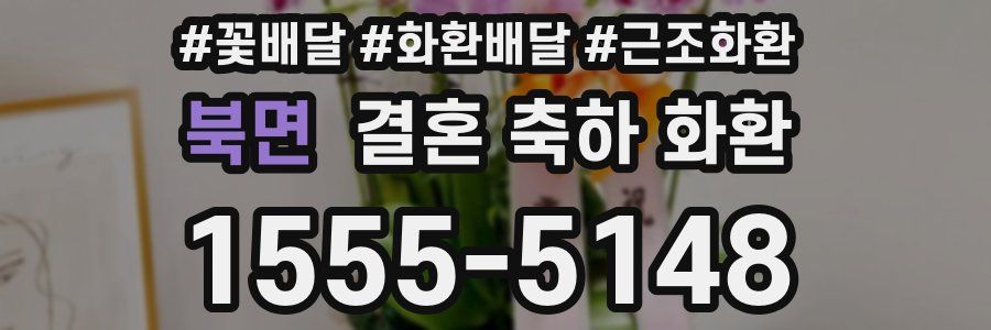 북면 결혼 축하 화환