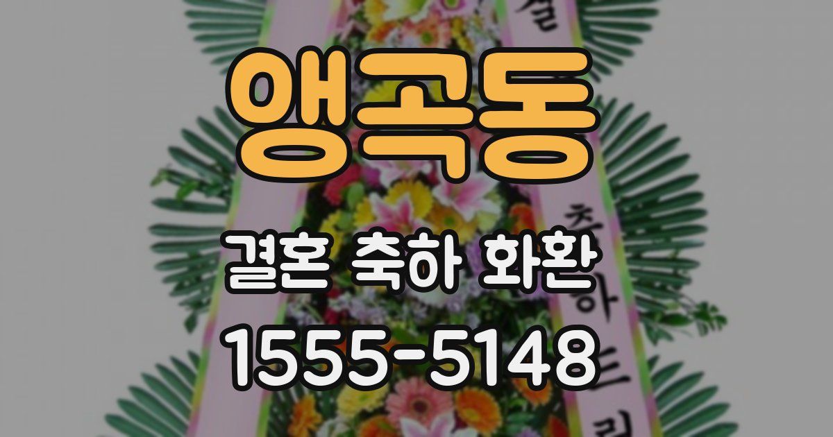 앵곡동 결혼 축하 화환