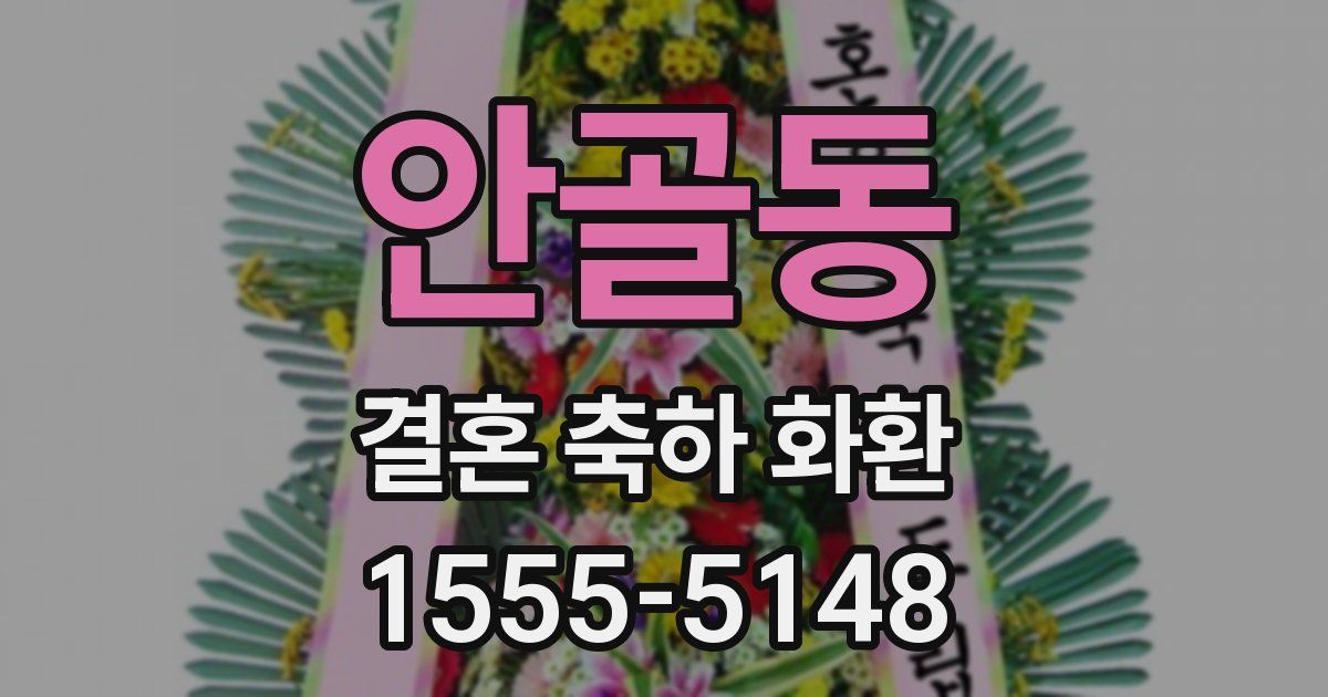 안골동 결혼 축하 화환