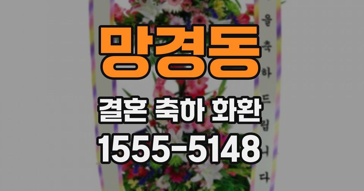 망경동 결혼 축하 화환