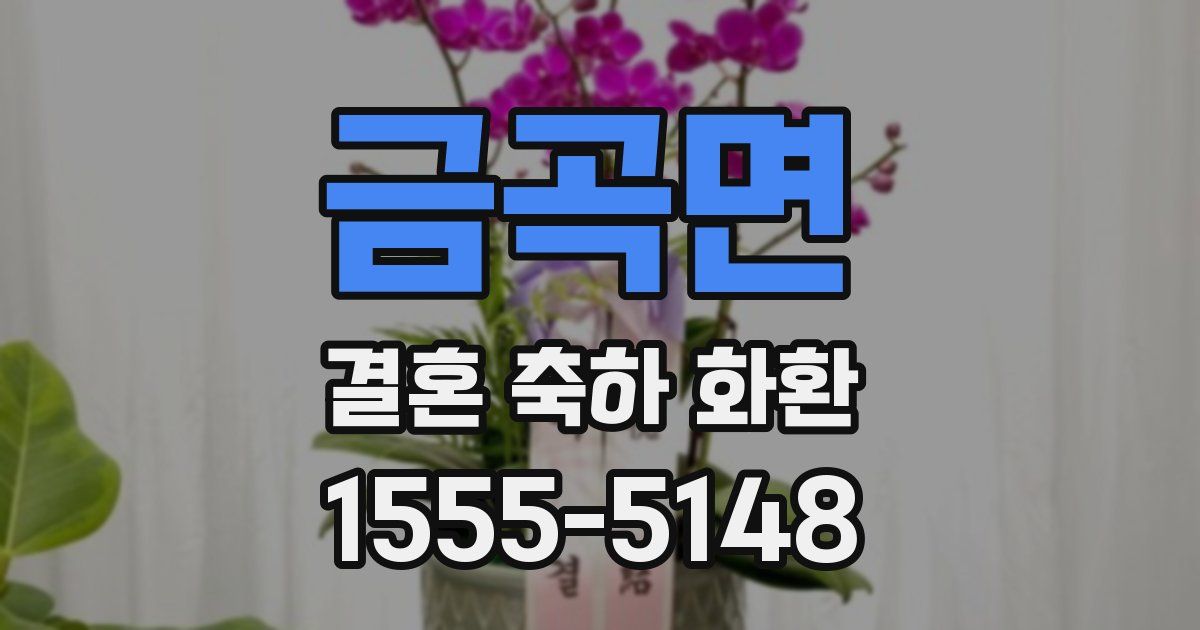 금곡면 결혼 축하 화환