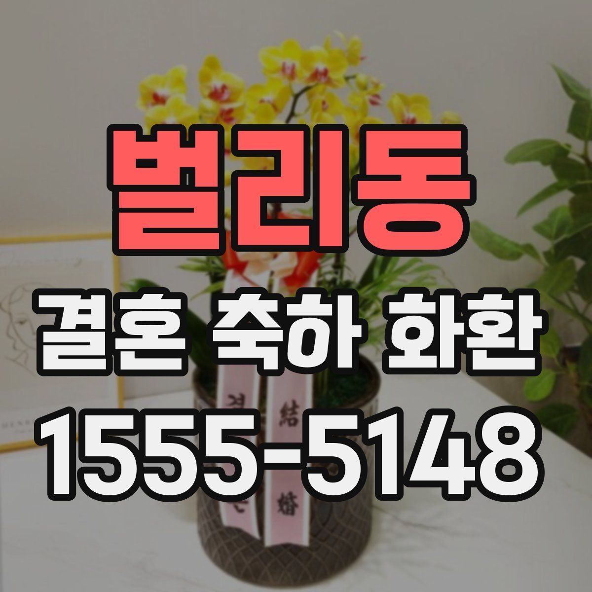 벌리동 결혼 축하 화환
