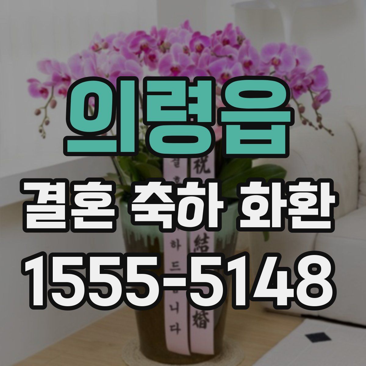 의령읍 결혼 축하 화환