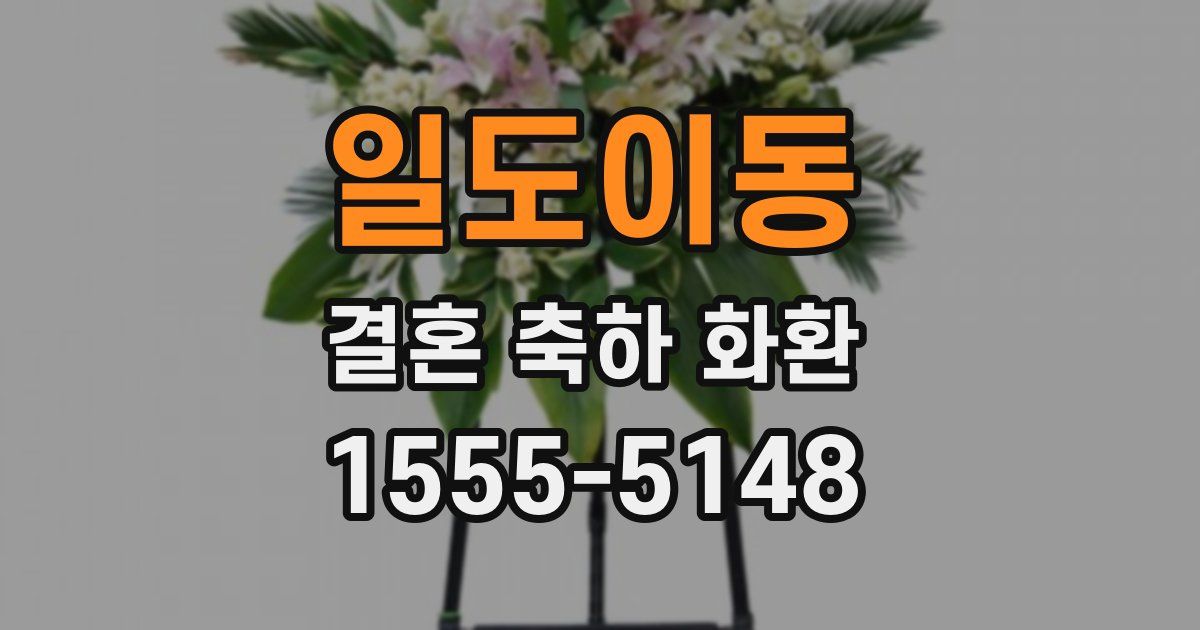 일도이동 결혼 축하 화환