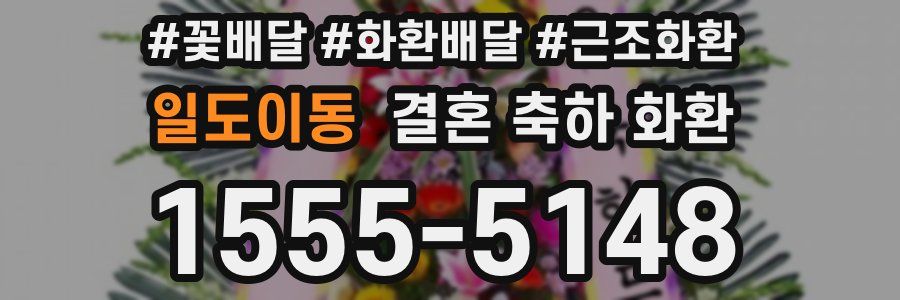 일도이동 결혼 축하 화환