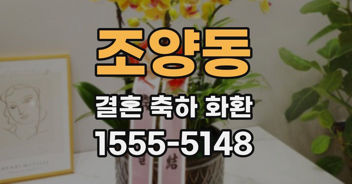 조양동 결혼 축하 화환