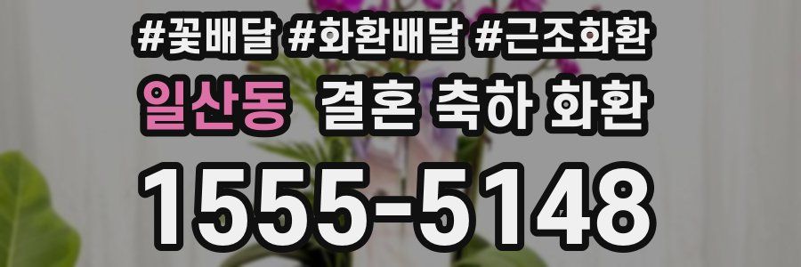 일산동 결혼 축하 화환