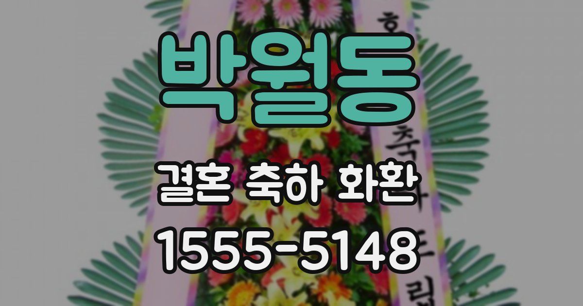 박월동 결혼 축하 화환