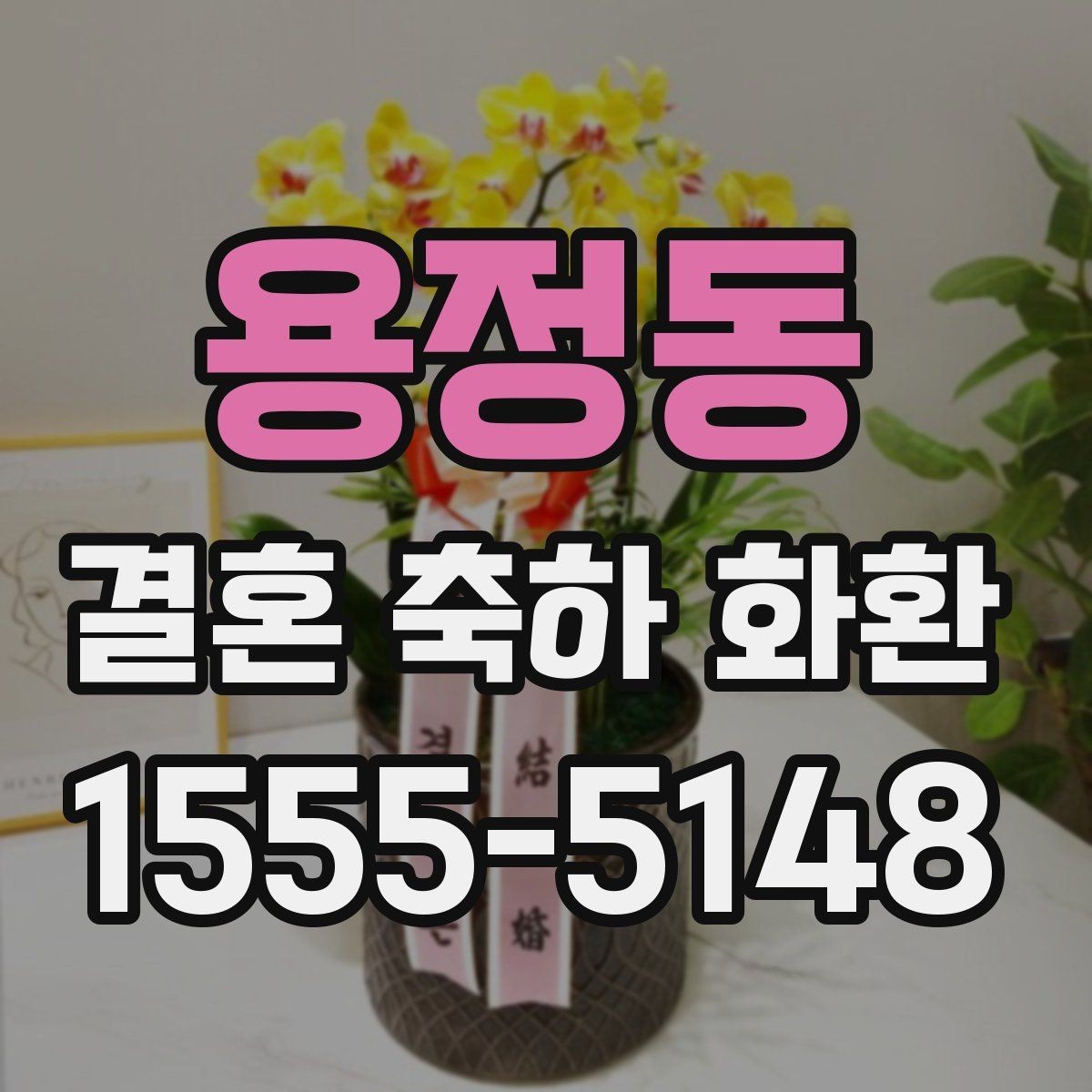 용정동 결혼 축하 화환 선택에 앞서 확인할 예산