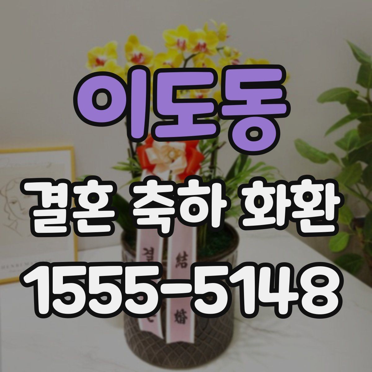 이도동 결혼 축하 화환 실수 줄이는 주문 확인법