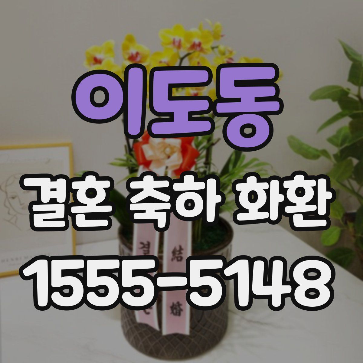 이도동 결혼 축하 화환