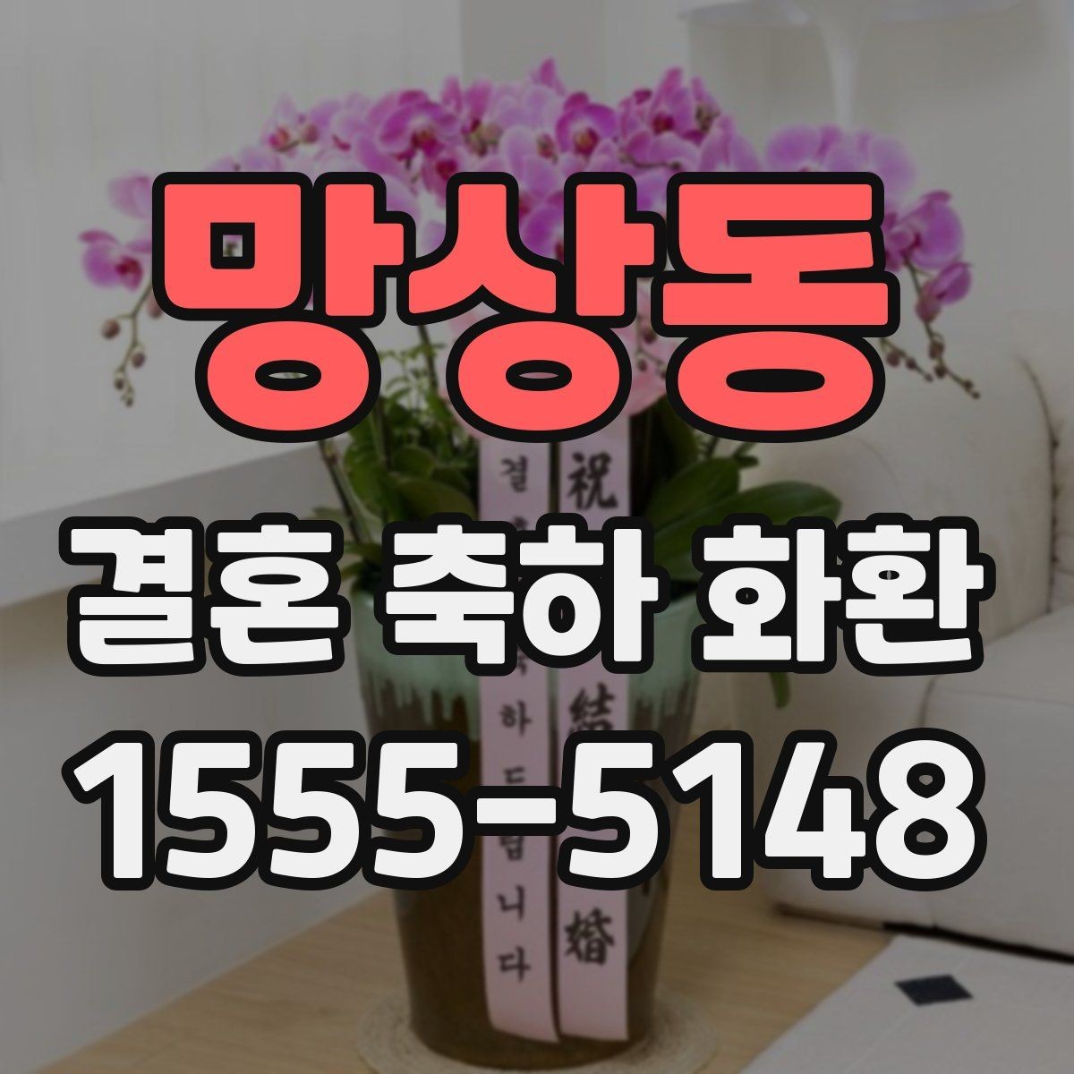 망상동 결혼 축하 화환 적절한 문구 길이와 배치